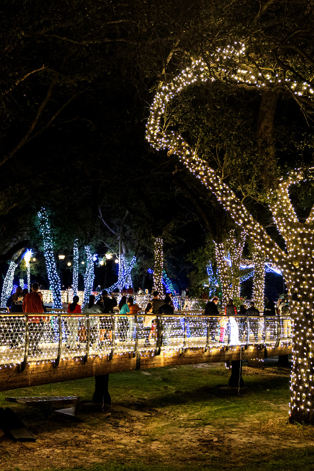 Bonnet Springs Park Light Up BSP