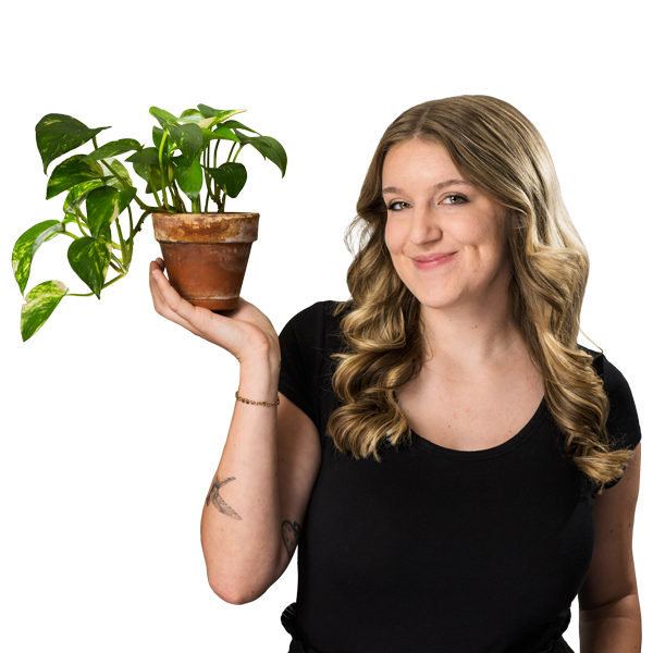 Madison DeCicco, Social Media Manager